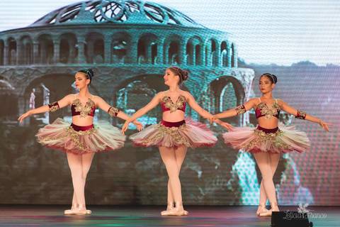 Regina corvello bailarinas fotografadas pela fotografa Letícia Franco no Lago SUl em Brasília DF teatro oi espetaculo Sylvia'