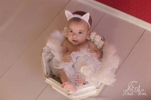 gatinha bebe 4 meses tina acompanhamento'