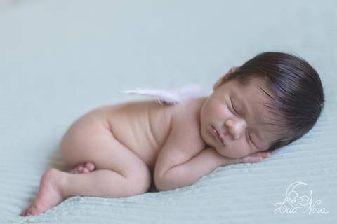 anjinho com asa ensaio newborn dormindo'