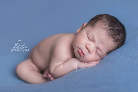 newborn brasilia pose taco womb'