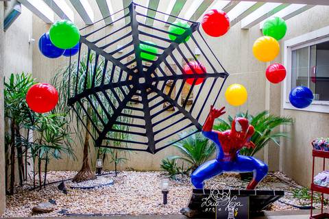 teia homem aranha festa infantil brasilia'
