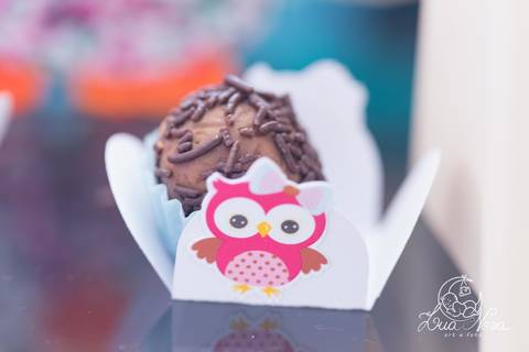 brigadeiro coruja festa infantil brasilia'