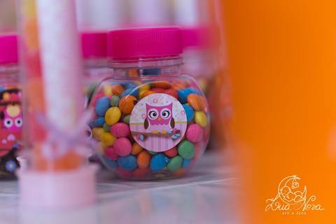 coruja festa infantil brasilia'