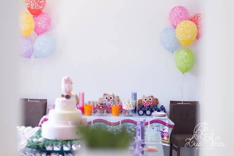 doces coruja festa infantil brasilia'