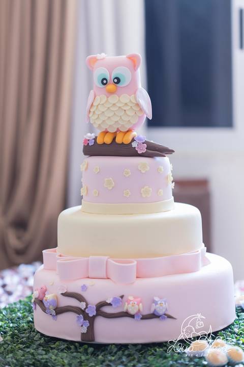 bolo de coruja festa infantil brasilia'