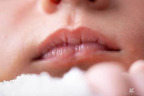 bebê recém nascido newborn brasilia fotografa fotografo fotógrafa brasília df distrito federal baby bebe reborn book melhor leticia franco menino boquinha macro detalhes'