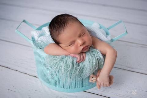 bebê recém nascido newborn brasilia fotografa fotografo fotógrafa brasília df distrito federal baby bebe reborn book melhor leticia franco menino no cesto cestinho balde baldinho azul esverdeado segurando o ursinho dormindo'