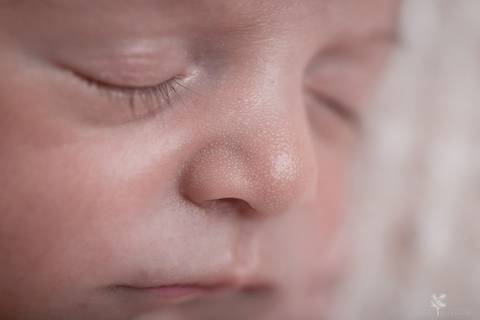 bebê recém nascido newborn brasilia fotografa fotografo fotógrafa brasília df distrito federal baby bebe reborn book melhor leticia franco menino detalhe perfil nariz cílios'