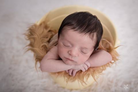 bebê recém nascido newborn brasilia fotografa fotografo fotógrafa brasília df distrito federal baby bebe reborn book melhor leticia franco menino mão no queixo no balde amarelo com pelo'