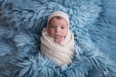 bebê recém nascido newborn brasilia fotografa fotografo fotógrafa brasília df distrito federal baby bebe reborn book melhor leticia franco menino enrroladinho no tecido branco com fundo azul no flokati azul'