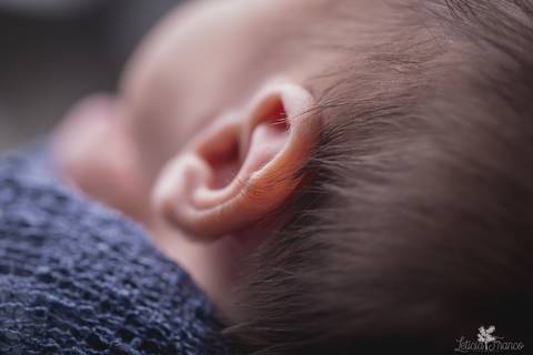 bebê recém nascido newborn brasilia fotografa fotografo fotógrafa brasília df distrito federal baby bebe reborn book melhor leticia franco menino orelhas foto macro'