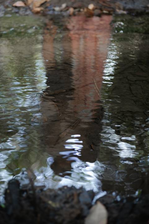 '