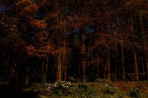 ensaio 15 anos, ensaio debutante, 15 anos, ensaio diferente, fotos diferentes de 15 anos'