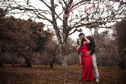 As melhores ideias e inspirações criativas de fotos para ensaio no Parque do Carmo - SP'