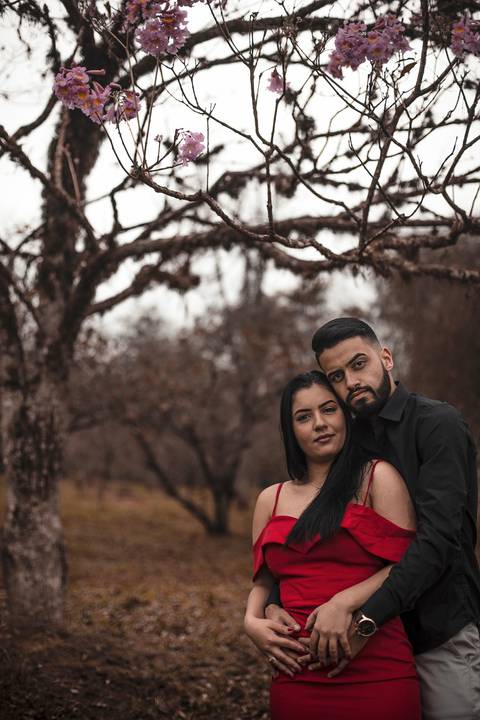 As melhores ideias e inspirações criativas de fotos para ensaio no Parque do Carmo - SP'