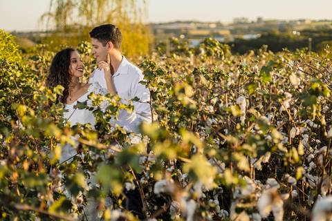 As melhores ideias e inspirações criativas de fotos para ensaio pré wedding na cidade das flores Holambra - SP'