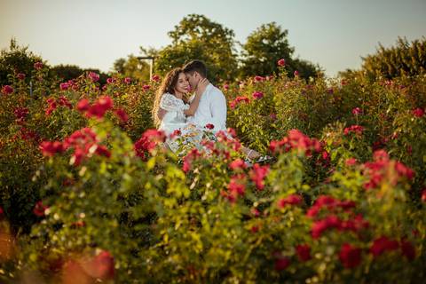 As melhores ideias e inspirações criativas de fotos para ensaio pré wedding na cidade das flores Holambra - SP'