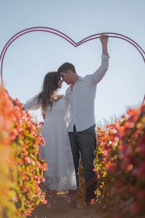 As melhores ideias e inspirações criativas de fotos para ensaio pré wedding na cidade das flores Holambra - SP'