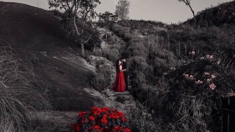 As melhores ideias e inspirações criativas de fotos para ensaio pré wedding no Sítio das Borboletas - SP'