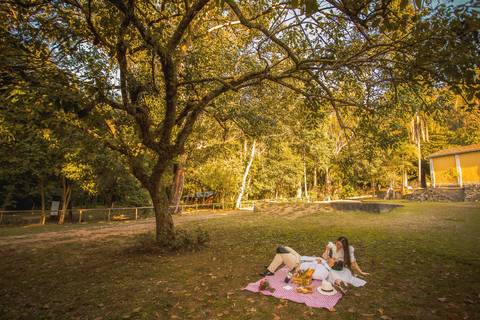 As melhores ideias e inspirações criativas de fotos para ensaio pré wedding em São Roque - SP'