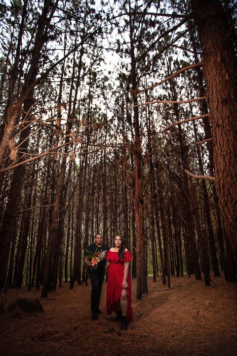 As melhores ideias e inspirações criativas de fotos para ensaio pré wedding no Sítio das Borboletas - SP'
