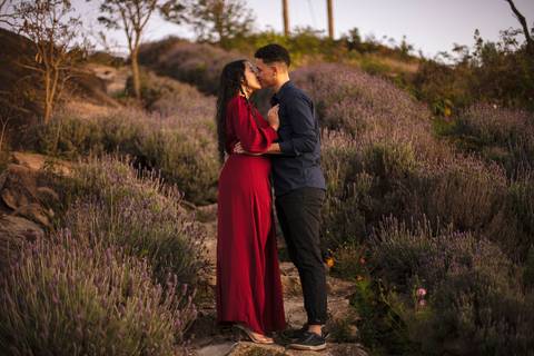 As melhores ideias e inspirações criativas de fotos para ensaio pré wedding no Sítio das Borboletas - SP'