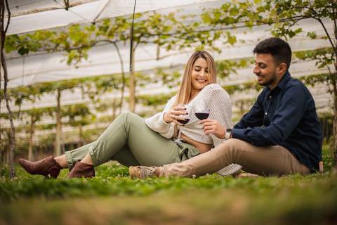 As melhores ideias e inspirações criativas de fotos para ensaio de casamento pré wedding na Vinícola Don Pato na cidade de São Roque -  SP'