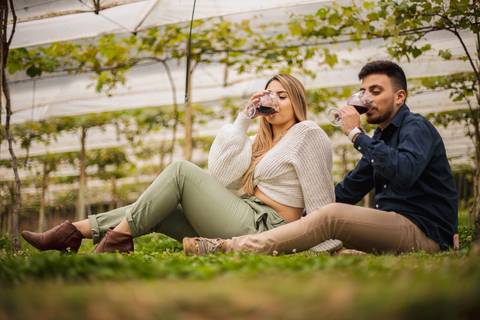 As melhores ideias e inspirações criativas de fotos para ensaio de casamento pré wedding na Vinícola Don Pato na cidade de São Roque -  SP'