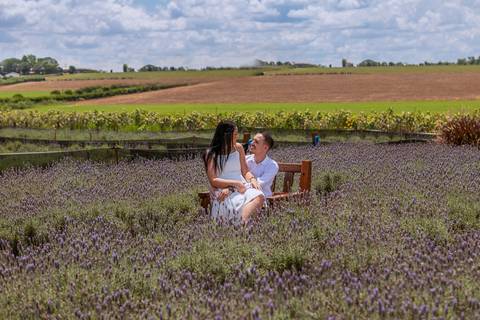 As melhores ideias e inspirações criativas de fotos para ensaio pré wedding em Holambra - SP'