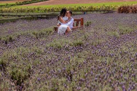 As melhores ideias e inspirações criativas de fotos para ensaio pré wedding em Holambra - SP'