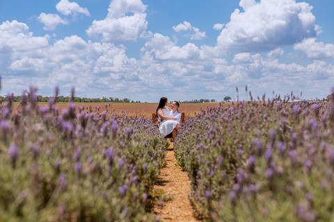As melhores ideias e inspirações criativas de fotos para ensaio pré wedding em Holambra - SP'
