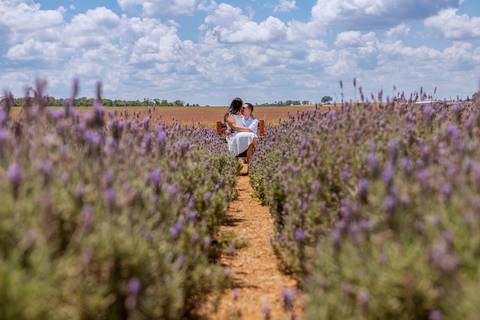 As melhores ideias e inspirações criativas de fotos para ensaio pré wedding em Holambra - SP'