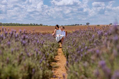 As melhores ideias e inspirações criativas de fotos para ensaio pré wedding em Holambra - SP'