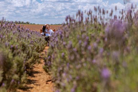 As melhores ideias e inspirações criativas de fotos para ensaio pré wedding em Holambra - SP'