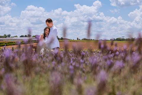 As melhores ideias e inspirações criativas de fotos para ensaio pré wedding em Holambra - SP'