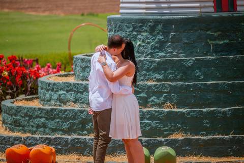 As melhores ideias e inspirações criativas de fotos para ensaio pré wedding em Holambra - SP'