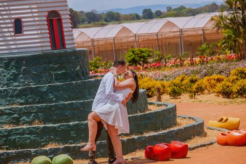As melhores ideias e inspirações criativas de fotos para ensaio pré wedding em Holambra - SP'