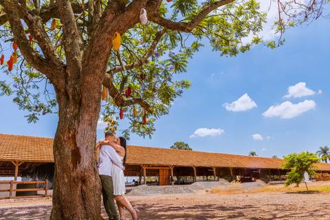 As melhores ideias e inspirações criativas de fotos para ensaio pré wedding em Holambra - SP'
