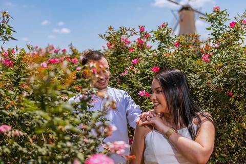 As melhores ideias e inspirações criativas de fotos para ensaio pré wedding em Holambra - SP'