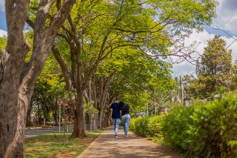 As melhores ideias e inspirações criativas de fotos para ensaio pré wedding em Holambra - SP'