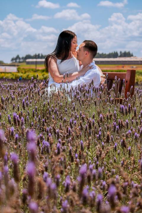 As melhores ideias e inspirações criativas de fotos para ensaio pré wedding em Holambra - SP'