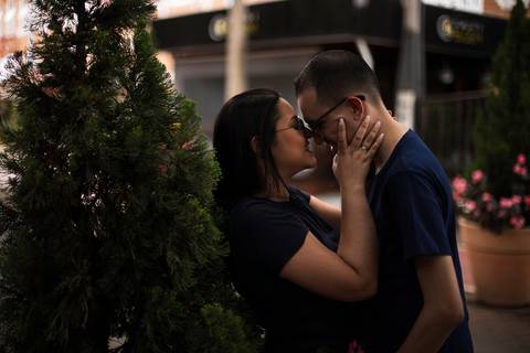 As melhores ideias e inspirações criativas de fotos para ensaio pré wedding em Holambra - SP'