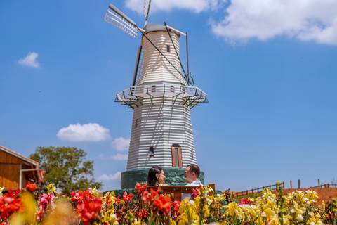 As melhores ideias e inspirações criativas de fotos para ensaio pré wedding em Holambra - SP'