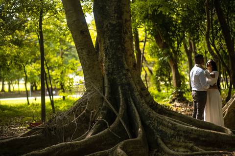 As melhores ideias e inspirações criativas de fotos para ensaio pré wedding no parque Villa Lobos - SP '