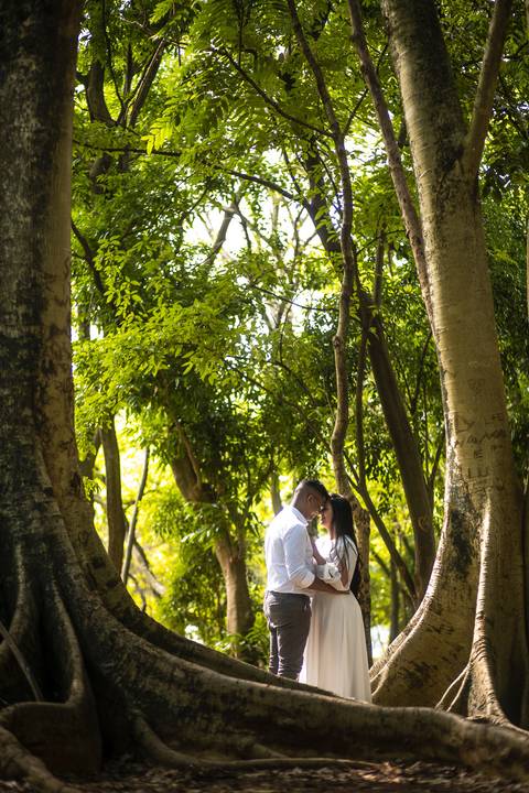 As melhores ideias e inspirações criativas de fotos para ensaio pré wedding no parque Villa Lobos - SP '