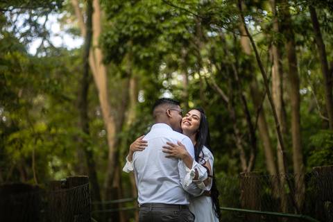 As melhores ideias e inspirações criativas de fotos para ensaio pré wedding no parque Villa Lobos - SP '