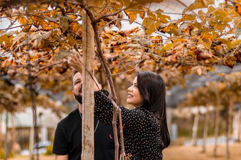 As melhores ideias e inspirações criativas de fotos para ensaio pré wedding na Vinícola Don Pato - Antiquário - Maria Fumaça - São Roque '