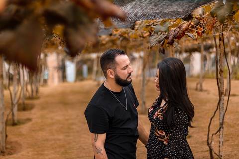 As melhores ideias e inspirações criativas de fotos para ensaio pré wedding na Vinícola Don Pato - Antiquário - Maria Fumaça - São Roque '