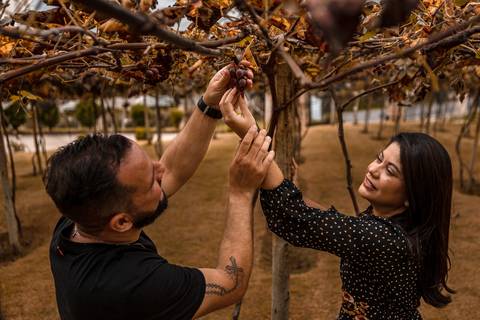 As melhores ideias e inspirações criativas de fotos para ensaio pré wedding na Vinícola Don Pato - Antiquário - Maria Fumaça - São Roque '