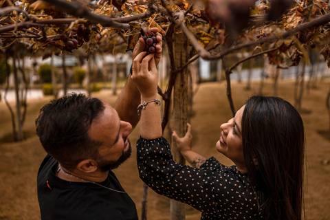 As melhores ideias e inspirações criativas de fotos para ensaio pré wedding na Vinícola Don Pato - Antiquário - Maria Fumaça - São Roque '